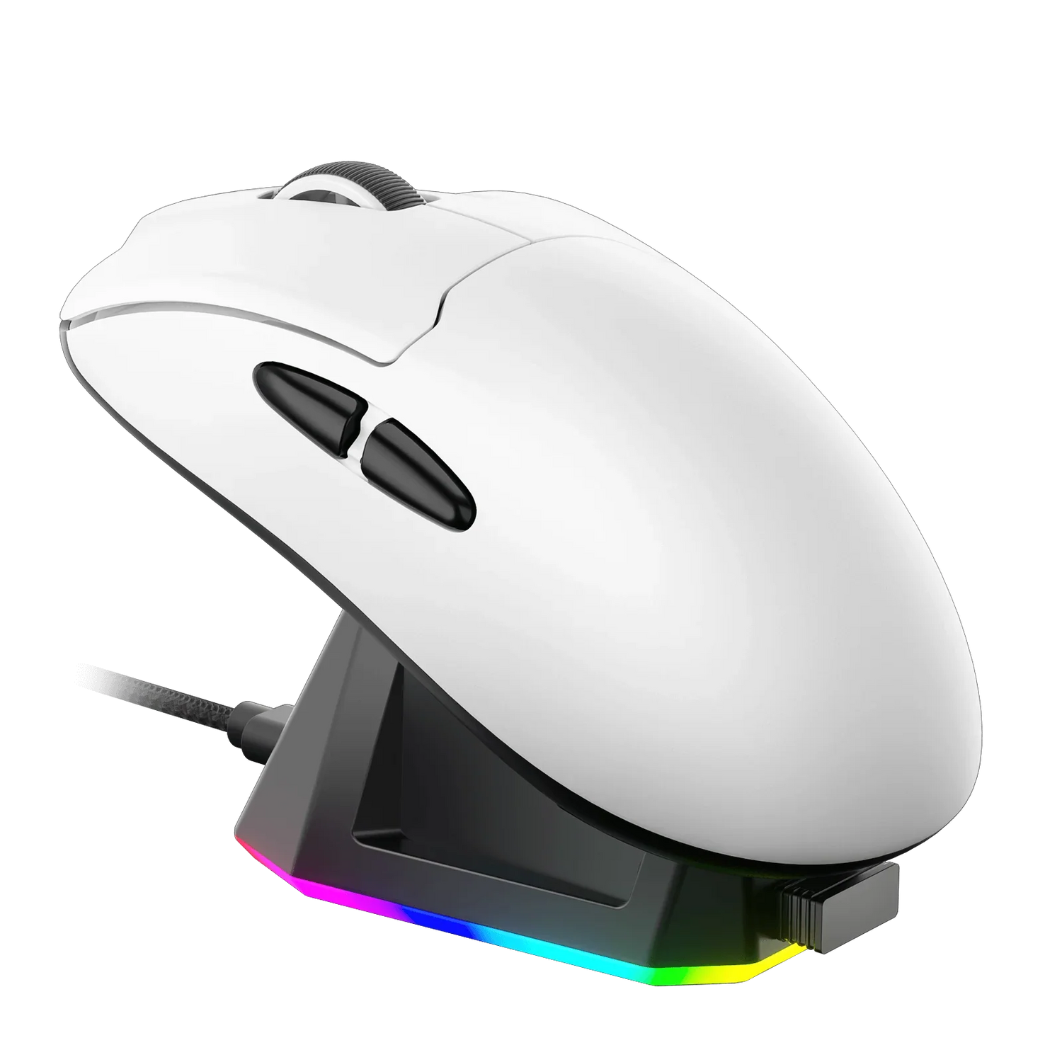 Computer Mouse